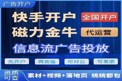 行业领先企业的SEM广告投放策略案例