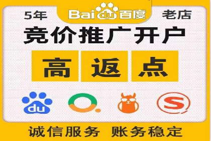 百度竞价广告投放成功案例解析